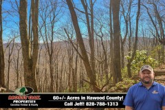 60+/- Unrestricted Acres Bordering the Great Smoky Mountains National Park!