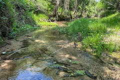 Medio Creek Ranch
