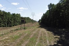 306 +/- Acre Texas Hunting & Timber Tract