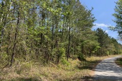 MicroTower Road - Tract A, Caldwell Parish, 82.52 Acres +/-