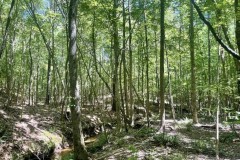 47 Acres in Choctaw County in Ackerman, MS
