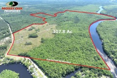 307+ Acre St.Marys River Tract for Sale in Camden County, GA