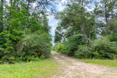 12 Acres | Old Arco Road | A-5 | Silsbee Stake