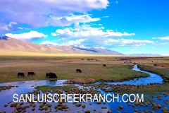 San Luis Creek Ranch