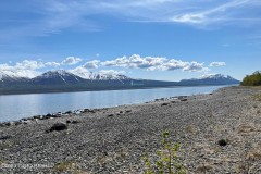 9.99 ACRES OF LAKEFRONT ON LAKE CLARK