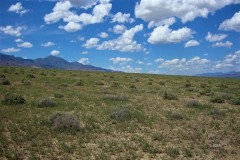 93.37 Acre Pershing Co Road - Lovelock, NV 89419