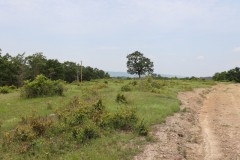 Smithville Tract 4--1 Acre, More Or Less