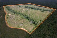 127.6 Acres in Holmes County in Lexington, MS