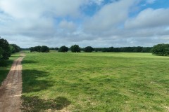 316 Acre Cattle Ranch, Red River Co, TX