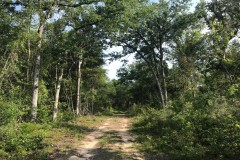 80 Acres Perry County, MS Hunting Land for Sale