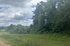 5 Acre Residential Tract in Rankin County, MS