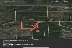 226 Acres of Remote Property in the AL Blackbelt