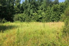 135.17 Acres in Holmes County in Goodman, MS