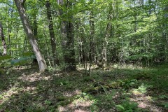 5 acres Recreational Property in Wirt NY Lot 2