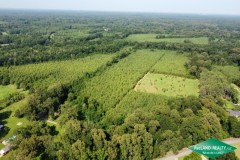186.2 ac - Timberland & Hunting with Home Site Potential
