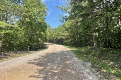 39 +/- Wooded acres In Winston County, AL