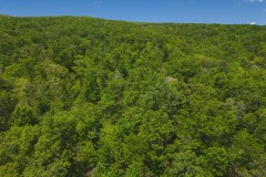 Escape to the Tranquil Beauty of East Tennessee: Your Dream Home Awaits!