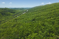 Serenity Unleashed: Embrace Nature's Bounty in East Tennessee's Hidden Gem
