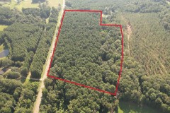+/- 22 Acre Timber/Hunting Tract in Amite County, MS