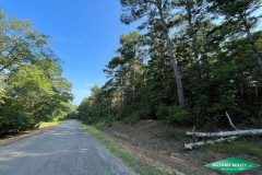17 ac - Wooded Tract for Home or Camp