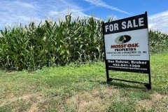 78.57 Acres, more or less, Dakota County, Nebraska