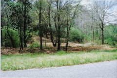 0 Country Road 11 Lot 14