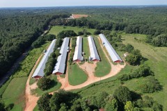 NEW PRICE-Red Hollow Broiler Farm