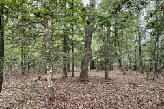 12.66 Acres in Amite County in Liberty, MS