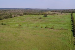 83.42 Acres in Milam County