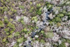  Escambia Creek Hunting and Timber Investment
