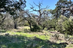 45 +/- Acres with 3/2 Bardominium, Water well, Oaks, Hunting