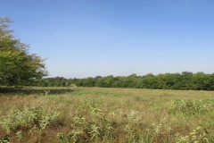 ROLLING HILL RANCHES DEVELOPMENT PHASE 2 Choctaw County, OK LOT 7 @ 34.00 AC