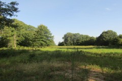 ROLLING HILL RANCHES DEVELOPMENT PHASE 2 Choctaw County, OK LOT 5 @ 31.28 AC