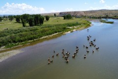 Splashing Elk Ranch