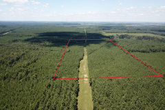 Lincoln County 68+/- acre timber tract