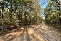 34.12 Acres Timberland, Hunting Land for Sale Southeast LA