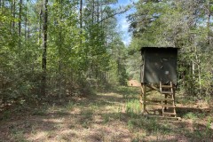 37.46 AC Amite County For Sale Near the State Line
