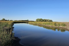 Rice County KS Ã¢ÂÂ Waterfowl Wetlands