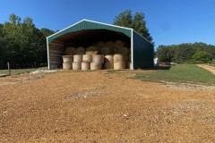 West Tennessee Cattle/Row Crop Farm