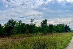 50+/- acres Turn Key Hunting Tract in Tensas Parish with CRP Income