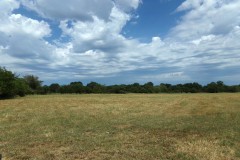 Ranch Land For Sale 231 Acres in Blossom TX NE TX