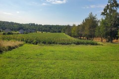 +/- 65 Acres - Midway Rd Statesville NC - Iredell Co