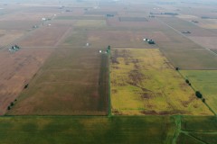 Bureau County, Illinois 160 Acres of Land For Sale