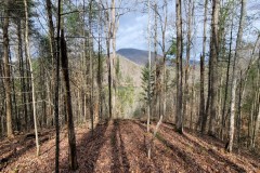 1.2+/- Acre lot with Lake Access and Lake View