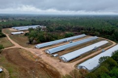 Turnkey 7 House Poultry Broiler Farm with 33 Acres