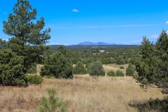 NM-337 Tijeras, NM 80 acres
