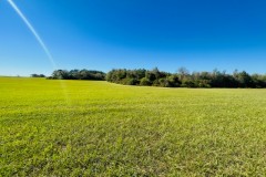 20 Stunning acres / some pasture/ Mature Woods / Jayess, MS