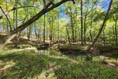101 +/- Ac - Secluded Hunting Tract - Chambers Co - Alabama