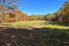 Land For Sale Monroe County, IN 9.22 Acre +/- Building Site