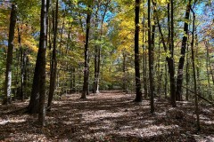 Land For Sale in Monroe County, IN 96 Acres +/-